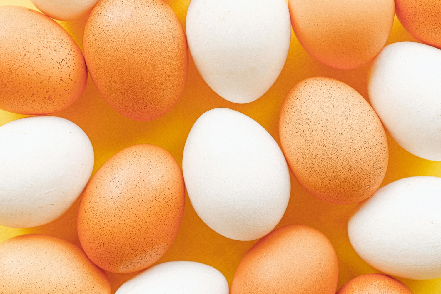 Brazilian Egg Producer Granja Faria Acquires Vitagema 