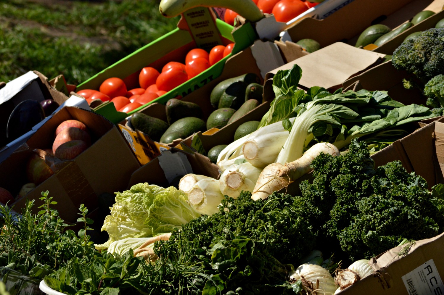 Competition Commission SA to Establish a Market Inquiry Into the Fresh Produce Market