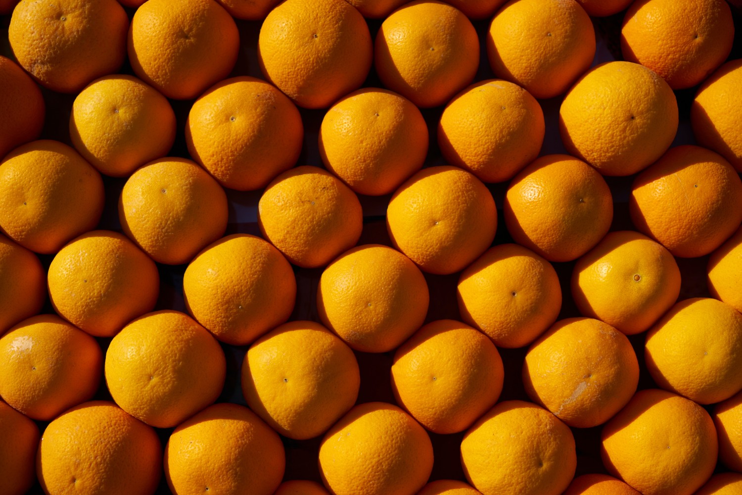 Brazil Prosecutors Seek $2.5 Bln in Damages from Alleged Orange Juice Cartel